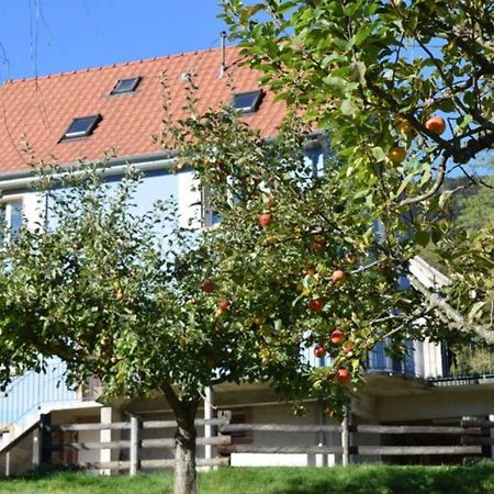 Les Locations De Stephanie ,Gite Le Verger Sondernach Экстерьер фото
