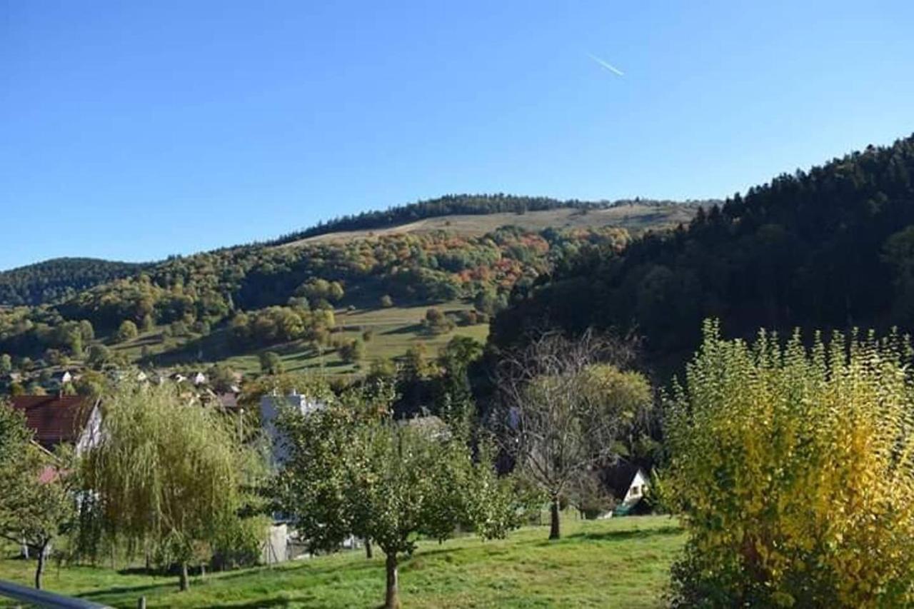 Les Locations De Stephanie ,Gite Le Verger Sondernach Экстерьер фото