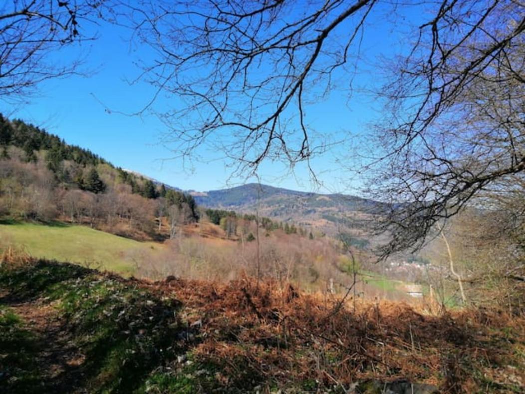 Les Locations De Stephanie ,Gite Le Verger Sondernach Экстерьер фото