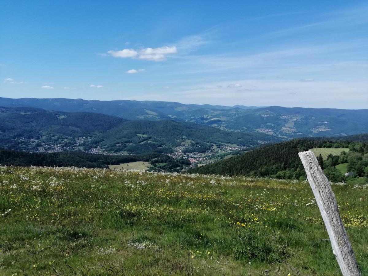 Les Locations De Stephanie ,Gite Le Verger Sondernach Экстерьер фото