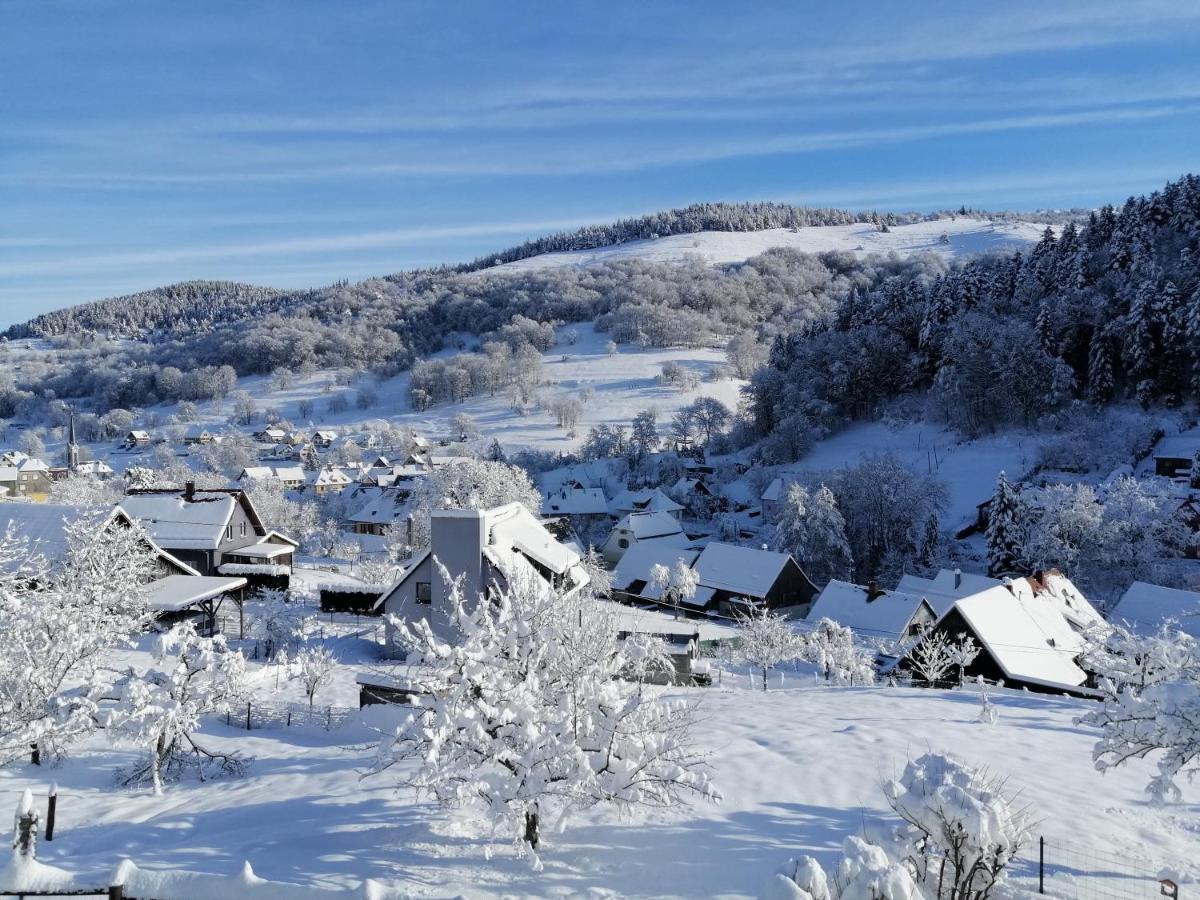 Les Locations De Stephanie ,Gite Le Verger Sondernach Экстерьер фото