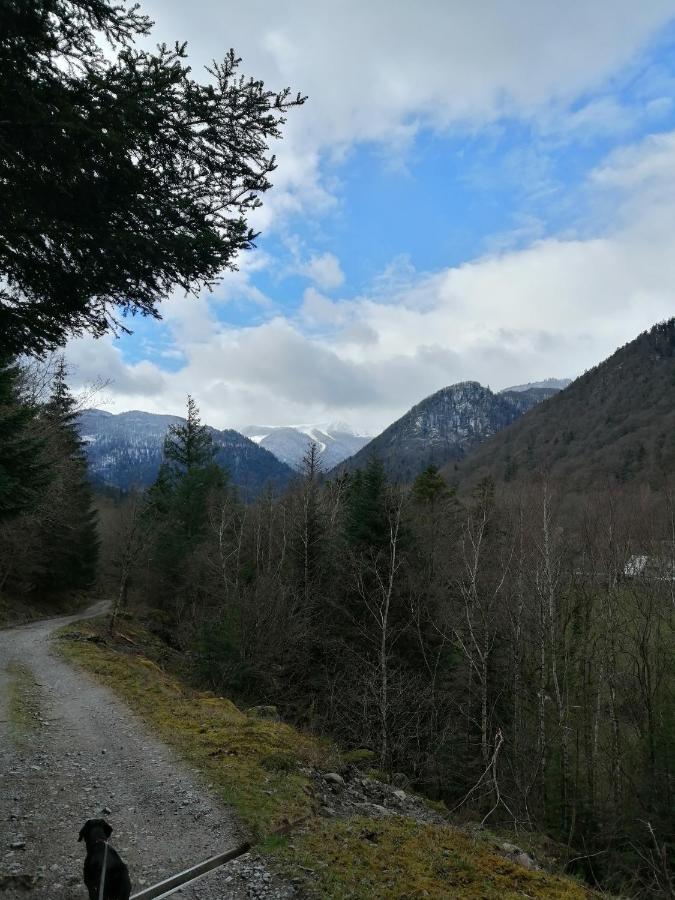 Les Locations De Stephanie ,Gite Le Verger Sondernach Экстерьер фото